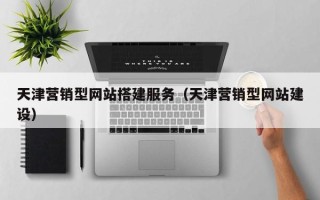 新疆天津营销型网站搭建服务（天津营销型网站建设）