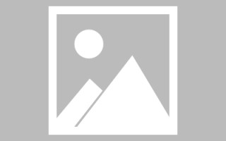 新疆赤水网站搭建代理品牌（赤水门户网站招标网）